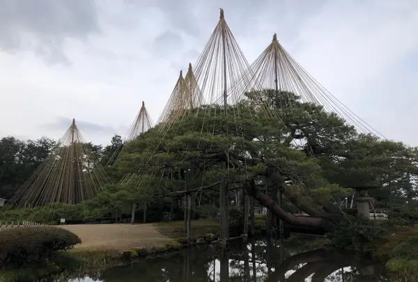 兼六園の写真・動画_image_430686