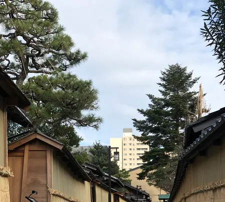 長町武家屋敷跡の写真・動画_image_430688