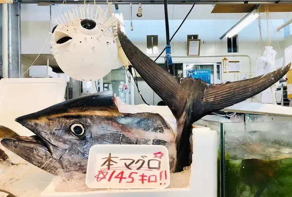 糸満漁業協同組合 お魚センターの写真・動画_image_430840