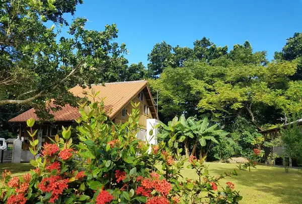 イルンティ フタデムラ ＜西表島＞の写真・動画_image_430927