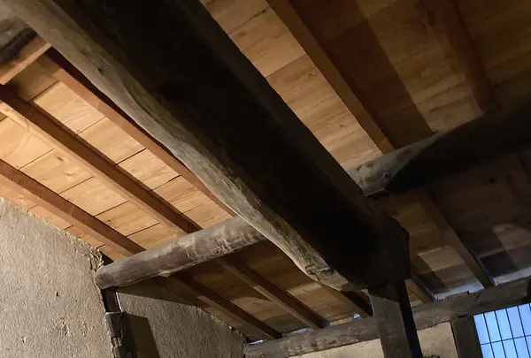 龍馬の隠れ部屋　桝屋清右衛門宅の写真・動画_image_431113