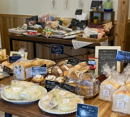 Harunohiの写真・動画_image_431156