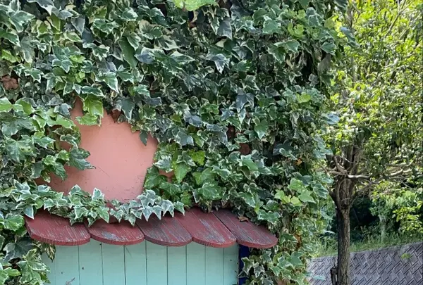 ナチュラルインテリア専門店 ミヤカグの写真・動画_image_431170