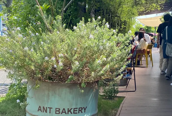 ANT BAKERY by mugimugiの写真・動画_image_431187
