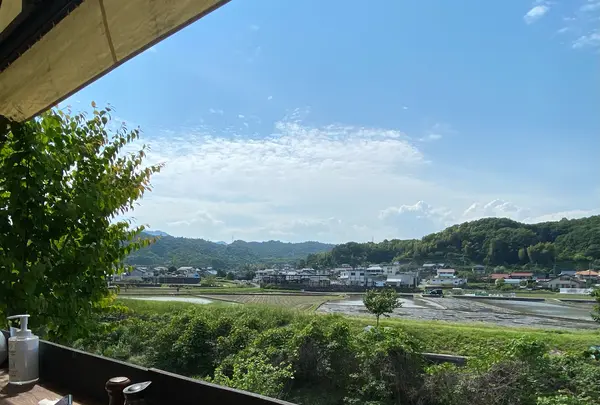 grasshopper cafe (グラスホッパー カフェ)の写真・動画_image_431195