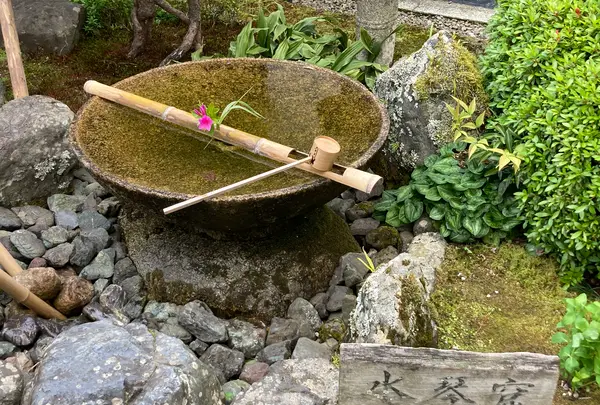 圓光寺の写真・動画_image_431289