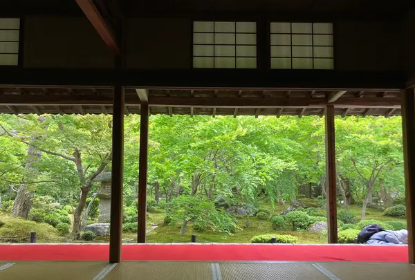 圓光寺の写真・動画_image_431290