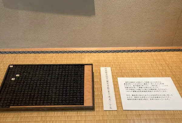 圓光寺の写真・動画_image_431292