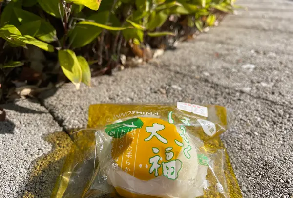 （株）松愛堂 尾道本店の写真・動画_image_431358