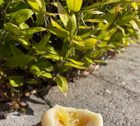 （株）松愛堂 尾道本店の写真・動画_image_431359