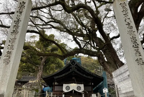 艮神社の写真・動画_image_431523