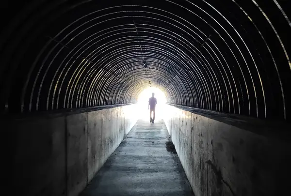 島武意海岸の写真・動画_image_431595