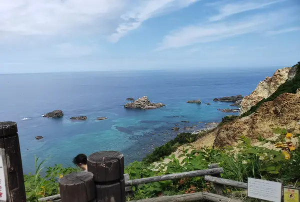 島武意海岸の写真・動画_image_431596