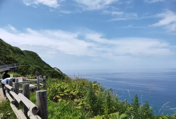 神威岬の写真・動画_image_431598