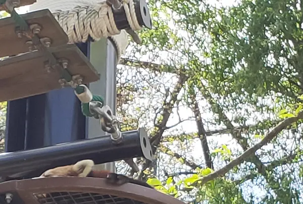 旭川市 旭山動物園の写真・動画_image_431607