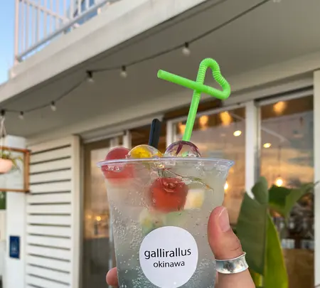 Gallirallusの写真・動画_image_431666