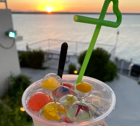 Gallirallusの写真・動画_image_431667