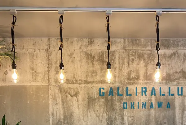 Gallirallusの写真・動画_image_431669