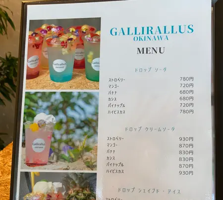 Gallirallusの写真・動画_image_431670