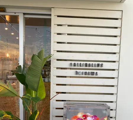 Gallirallusの写真・動画_image_431672