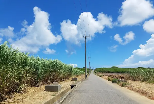 波照間島の写真・動画_image_431875