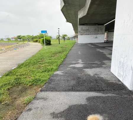 波の上うみそら公園の写真・動画_image_431921