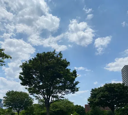 木場公園の写真・動画_image_432355