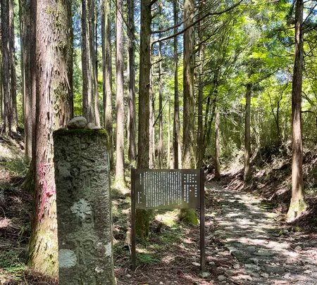 旧東海道石畳の写真・動画_image_432394