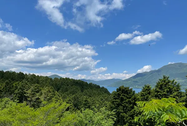 道の駅箱根峠の写真・動画_image_432419