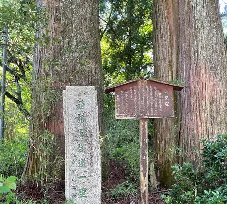 箱根旧街道杉並木の写真・動画_image_432421