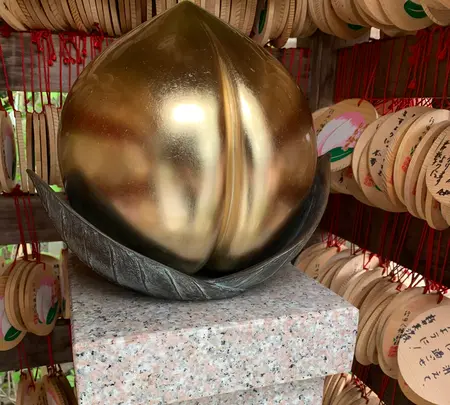 行田八幡神社の写真・動画_image_432537