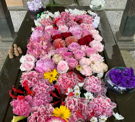 前玉神社の写真・動画_image_432549