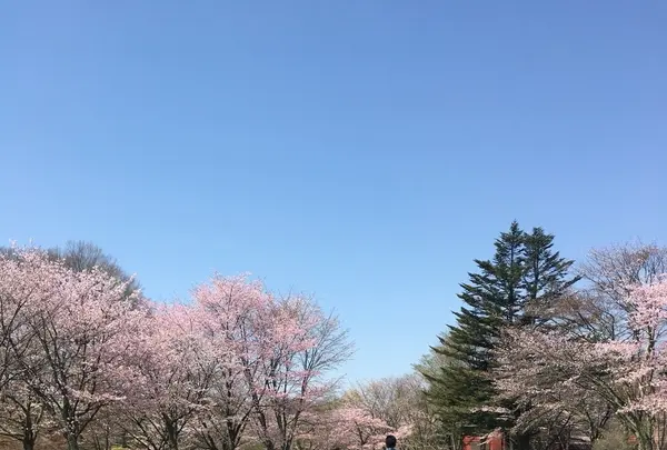 軽井沢タリアセンの写真・動画_image_432901