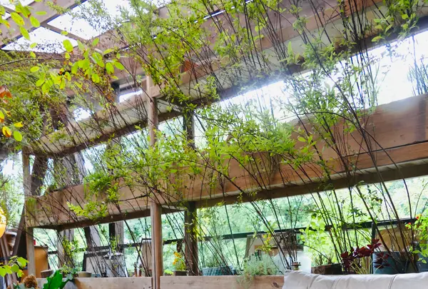RK GARDEN POINT MAKERSの写真・動画_image_432916