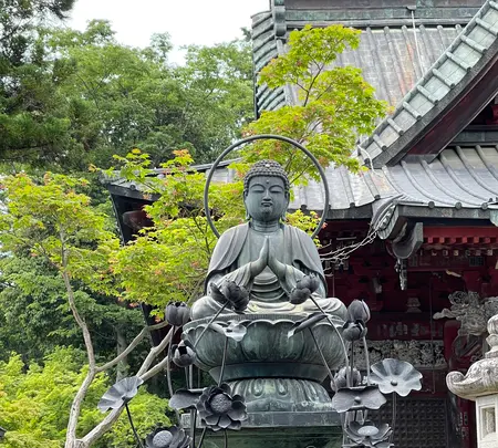 札所一番　四萬部寺の写真・動画_image_432997