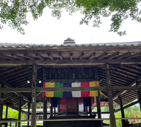 札所一番　四萬部寺の写真・動画_image_433003