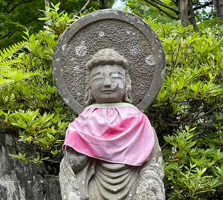 札所一番　四萬部寺の写真・動画_image_433007
