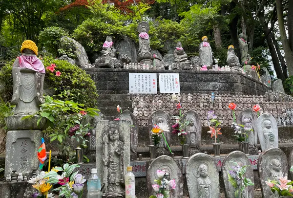 札所一番　四萬部寺の写真・動画_image_433009