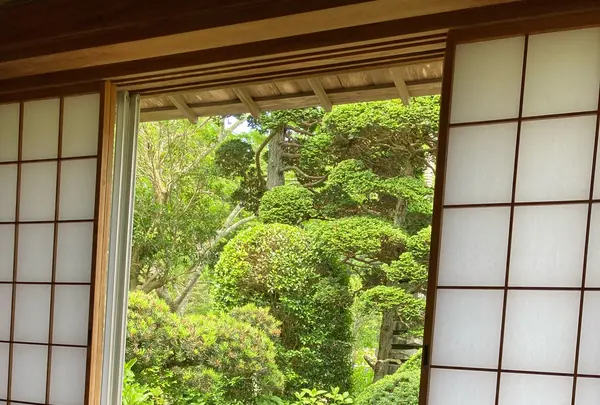 服部農園あじさい屋敷の写真・動画_image_433026