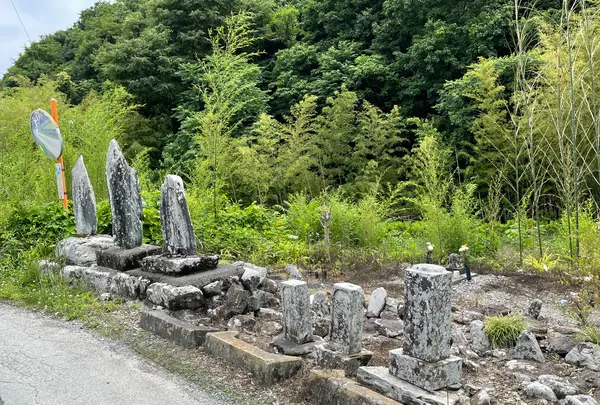 札所一番　四萬部寺の写真・動画_image_433043