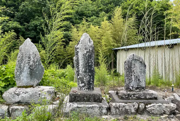札所一番　四萬部寺の写真・動画_image_433045