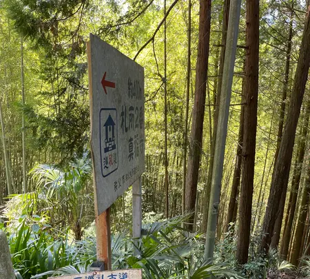 札所二番　真福寺の写真・動画_image_433369