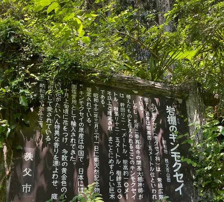 札所二番　真福寺の写真・動画_image_433370