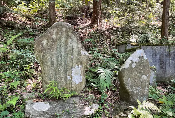 札所二番　真福寺の写真・動画_image_433371