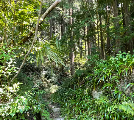 札所二番　真福寺の写真・動画_image_433372