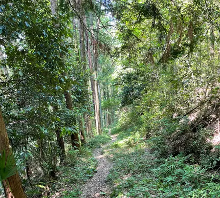 札所二番　真福寺の写真・動画_image_433374