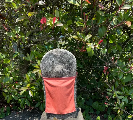 札所二番　真福寺の写真・動画_image_433387