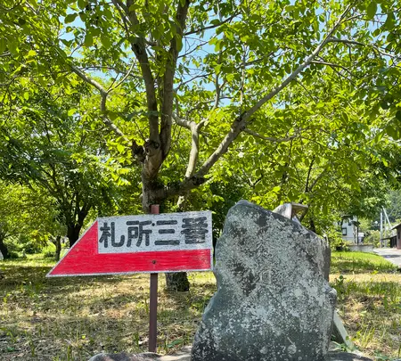 札所二番　真福寺の写真・動画_image_433388