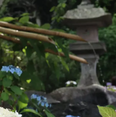 長谷寺の写真・動画_image_433594