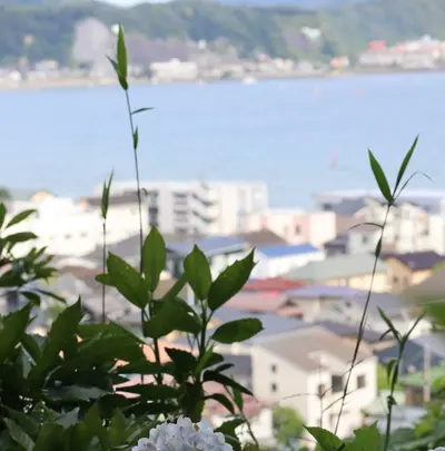 長谷寺の写真・動画_image_433597